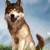 切尔西新星纹勇敢宣言，鬓角纹身引热议