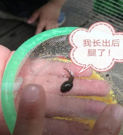 15岁少女的拳头背后，别轻易说出口
