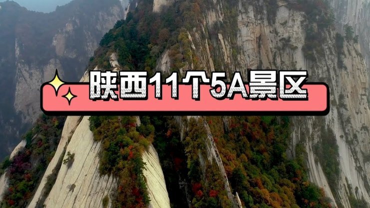 泰山遥遥领先！中超身价榜单揭秘