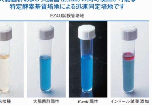 阿瑙托维奇禁区抽射破门，波施手球争议