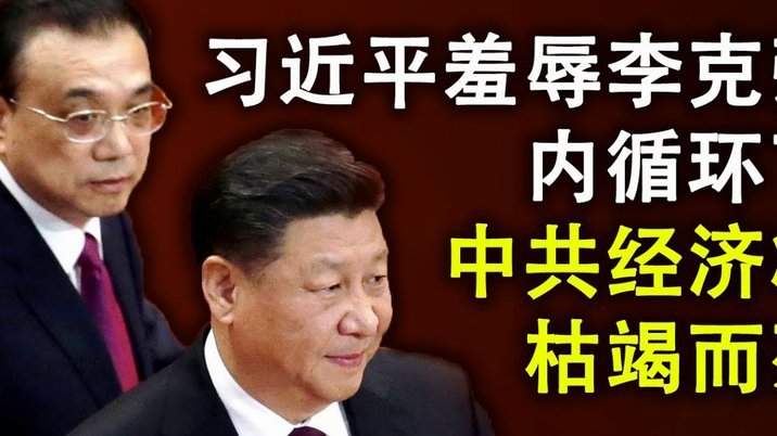 伤退无缘世界杯，埃基蒂克发布孤独猫生庆生照