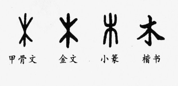 我早说了老二没问题的，下赛季好好踢！！！