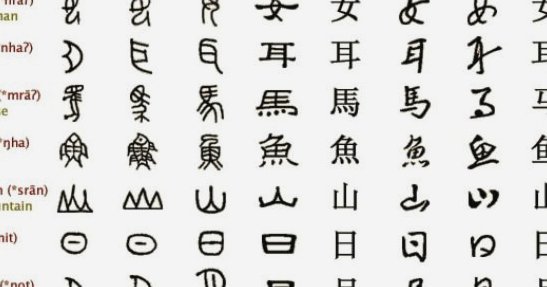 泰山队下赛季：重塑与升级战略